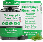 Benevolent Nourishment Chlorophyll Supplement, Detox & Immune Support, Internal Deodorizer, Liquid Drops