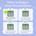 Plant People WonderSleep Mushroom Gummies Supplement for Sleep, No Melatonin Sleep Gummies with Reishi Mushroom, Saffron & Chamomile, Wild Elderberry Flavor, Sugar-Free (60 Count)