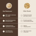 Real Mushrooms Lions Mane Mushroom Cognition (120 Capsules) Lions Mane Mushroom Powder Extract Capsules | Brain Supplement, Brain Vitamins, Focus Supplement