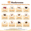 Venture Pal 48000mg Mushroom Coffee with 12 Adaptogenic Mushrooms, Lion's Mane, Cordyceps, Turkey tail, Reishi, Ashwagandha & Probiotics, Instant Coffee for Focus, Digestion & Immunity, 40 Servings