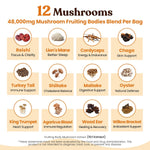 Venture Pal 48000mg Mushroom Coffee with 12 Adaptogenic Mushrooms, Lion's Mane, Cordyceps, Turkey tail, Reishi, Ashwagandha & Probiotics, Instant Coffee for Focus, Digestion & Immunity, 40 Servings