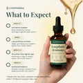 Lymphatic Drainage Drops for Bloat Relief & De-Puff – Cleavers, Red Clover, Stillingia Root & Prickly Ash Bark – Lymph Node Detox Cleanse, Fluid Retention – Alcohol-Free, Vegan, 2 Fl Oz