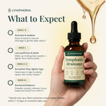 Lymphatic Drainage Drops for Bloat Relief & De-Puff – Cleavers, Red Clover, Stillingia Root & Prickly Ash Bark – Lymph Node Detox Cleanse, Fluid Retention – Alcohol-Free, Vegan, 2 Fl Oz