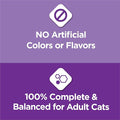 Purina Cat Chow Gentle Dry Cat Food, Sensitive Stomach + Skin - 13 lb. Bag