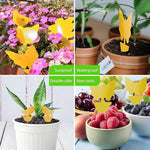 64 Pcs Sticky Trapz for gnat, Yellow Stick Traps for Plants, Fungus gnat Traps Double Side with Shovel, Indoor Safe for Gnat, Fruit Fly, White Fly, Aphid, Leaf Miner