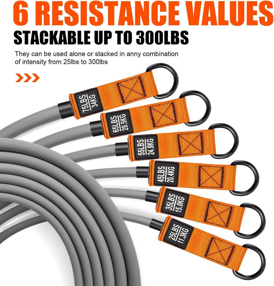 HPYGN 300LBS Resistance Bands Set - Fitness Bands for Muscle Training, Strength, Yoga, Home Gym