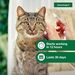Advantage II Large Cat Vet-Recommended Flea Treatment & Prevention | Cats Over 9 lbs. | 1-Month Supply