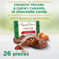 RUSSELL STOVER Sugar Free Pecan Delight Chocolate Candy, 15.5 oz. bag
