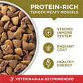 Purina ONE Dry Dog Food Lamb and Rice Formula - 8 lb. Bag