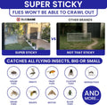 50 Window Fly Traps Sticky Non-Toxic Clear Fly Paper Indoor for Home. No Mess Flies Window Sticky Traps Bug Flies Strips Indoors. Fruit and Housefly Trap Indoor Flypaper Tape Gnat Catcher Killer