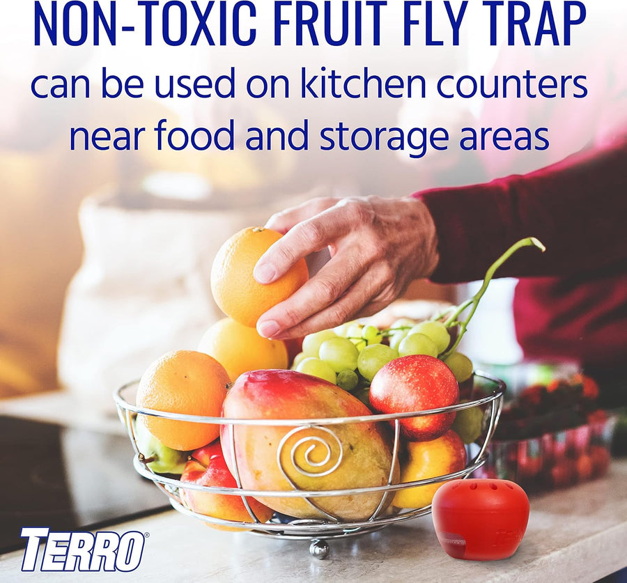 Terro Fruit Fly Traps for Indoors (4 Pack) + 180 Days of Lure Supply