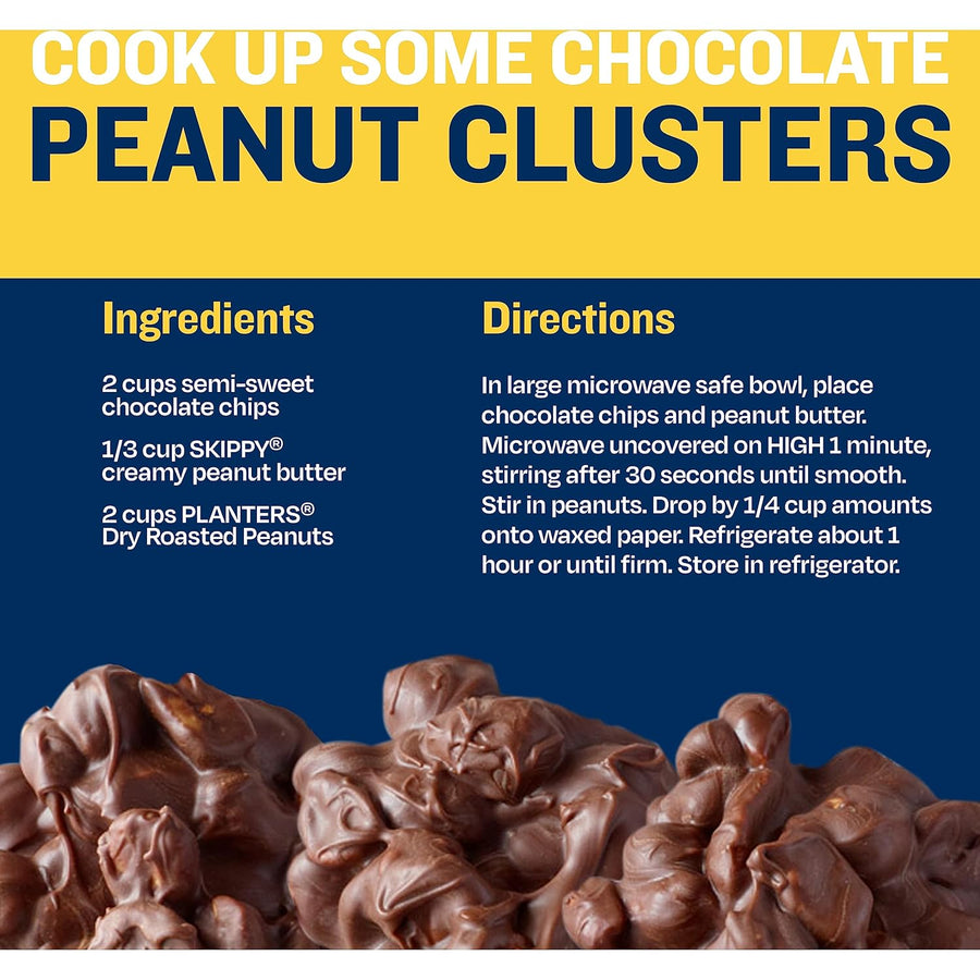 PLANTERS Salted Peanuts, Dry Roasted Peanuts, Party Snacks, Plant Based Protein, Snacks For Adults, 16oz (1 Jar)