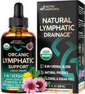 USDA Organic Lymphatic Drainage Supplement - Echinacea | Elderberry | Dandelion | Rosehip | Cleavers | Calendula | Burdock - Lab Tested - Lymph System Drops - Immune Support, Cleanse & Detox, 2 fl oz