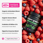 SuperGreens Powder, Organic Superfoods for Energy and Digestion