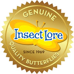 Insect Lore Butterfly Garden Kit with Live Caterpillars – Grow 10 Painted Lady Butterflies - STEM Learning Activity, Habitat with Journal, Stickers, Seeds & Figurines - As Seen on TV