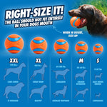 Chuckit! Dog Ball Launcher - Sport 12" with Medium (2.5"), Dog Fetch Ball Thrower, For Dogs 20-60 Pounds, Made in USA