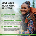 Mullein Drops for Lungs - USDA Organic Liquid - Mullein Leaf Extract Supplement - for Women & Men - Lung & Bronchial Cleanse for Smokers - Respiratory Health Support - As Tincture, Tea, Pills - 4 oz