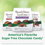 RUSSELL STOVER Sugar Free Assorted Caramels in Chocolate Candy, 15.3 oz. bag