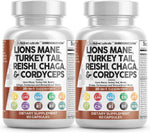 Clean Nutraceuticals Lions Mane 20in1 Mushroom Supplement with Turkey Tail Reishi Cordyceps Chaga Maitake Meshima Poria Cocos Shiitake Oyster Porcini Enoki - 1 Pack