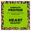 Wonderful Pistachios No Shells, Roasted & Salted Nuts, 0.75 Ounce Bag (Pack of 14), Protein Snacks, Vegan Snacks, On-the-Go, Individual Snacks for Adults