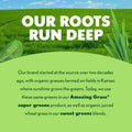 Amazing Grass Super Greens Powder, Organic, Greens Superfood Powder, Smoothie Supplements, Supports Digestion, Probiotics, Spirulina, Beet Root, Original, 30 Servings, 8.5 Ounce (Packaging May Vary)