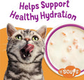 Purina Friskies Grain Free Lickable Cat Food Toppers Lil’ Soups With Shrimp in a Velvety Chicken Broth - (Pack of 8) 1.2 oz. Cups