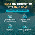 Baja Gold Mineral Sea Salt - Recommended by Gary Brecka - Organic Natural Grain Salt for Cooking & Baking | Authentic Baja Salt | Ideal for All Culinary Creations | 1 lb. Resealable Bag, 300+ Servings