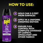 Raid Flea Killer Carpet & Room Spray, Kills hatching eggs for up to 4 months, 16 Oz
