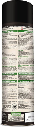 Spectracide Carpenter Bee and Ground Nesting Yellow Jacket Foaming Aerosol, 16-Ounce
