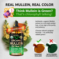 Mullein Drops for Lungs - USDA Organic Liquid - Mullein Leaf Extract Supplement - for Women & Men - Lung & Bronchial Cleanse for Smokers - Respiratory Health Support - As Tincture, Tea, Pills - 4 oz