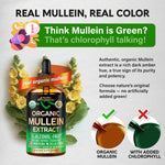 Mullein Drops for Lungs - USDA Organic Liquid - Mullein Leaf Extract Supplement - for Women & Men - Lung & Bronchial Cleanse for Smokers - Respiratory Health Support - As Tincture, Tea, Pills - 4 oz