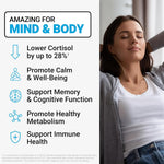 Force Factor Amazing Ashwa Ashwagandha Supplement for Stress Relief and Immune Support