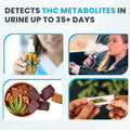 Exploro THC Tests for Home Use, Marijuana Drug Test Kit for Urine, 15 Pack, 50 ng/ml Cutoff Level