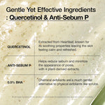 ANUA Heartleaf Quercetinol Pore Deep Cleansing Foam, Facial Cleanser, for Double Cleansing, BHA, Hyaluronic Acid, Glycerin, Face Wash, Blackhead Remover, Korean Skincare (150ml/5.07 fl.oz.)