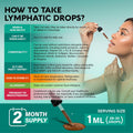 USDA Organic Lymphatic Drainage Supplement - Echinacea | Elderberry | Dandelion | Rosehip | Cleavers | Calendula | Burdock - Lab Tested - Lymph System Drops - Immune Support, Cleanse & Detox, 2 fl oz