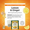 Twinings Lemon & Ginger Herbal Tea Individually Wrapped Bags, 100 Count (Pack of 1), Tangy Lemon, Spicy Ginger, Naturally Caffeine-Free, Enjoy Hot or Iced, 100 Teabags