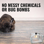 Terro T230 Indoor Electric Flea Trap and Killer - Refillable Flea Traps for Inside Your Home