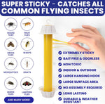 Fly Stick Sticky Fly Traps for Indoors Outdoor 6pk. Non-Toxic Super Sticky Hanging Flies Catcher Paper Tape Strips for Home. Catches All Bugs and gnats. Indoor Outdoor House Flying Insect Trap