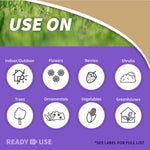 Bonide Insecticidal Soap, 32 oz Ready-to-Use Spray Multi-Purpose Insect Control for Organic Gardening Indoor and Outdoor