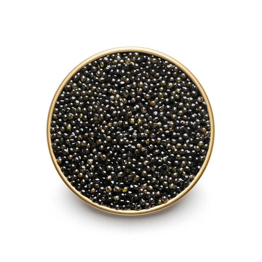 MARKY'S Hackleback Black American Caviar - 1.75 oz / 50 g - Premium Malossol Black Roe - GUARANTEED OVERNIGHT