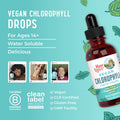 MaryRuth's Chlorophyll Liquid Drops | Clean Label Project Certified® | Vegan | Non-Diluted Liquid Chlorophyll| Mulberry Derived Supplement for Ages 14+ | Non-GMO | Delicious Minty Flavor | 2 Fl Oz