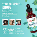 MaryRuth's Chlorophyll Liquid Drops | Clean Label Project Certified® | Vegan | Non-Diluted Liquid Chlorophyll| Mulberry Derived Supplement for Ages 14+ | Non-GMO | Delicious Minty Flavor | 2 Fl Oz