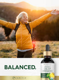 Carlyle Organic Oil of Oregano Liquid Drops - 2 fl oz - 1 Year Supply | Vegan Herbal Supplement | Non-GMO, Gluten Free