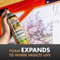 Spectracide Carpenter Bee and Ground Nesting Yellow Jacket Foaming Aerosol, 16-Ounce