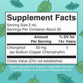 MaryRuth's Chlorophyll Liquid Drops | Clean Label Project Certified® | Vegan | Non-Diluted Liquid Chlorophyll| Mulberry Derived Supplement for Ages 14+ | Non-GMO | Delicious Minty Flavor | 2 Fl Oz