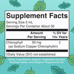MaryRuth's Chlorophyll Liquid Drops | Clean Label Project Certified® | Vegan | Non-Diluted Liquid Chlorophyll| Mulberry Derived Supplement for Ages 14+ | Non-GMO | Delicious Minty Flavor | 2 Fl Oz