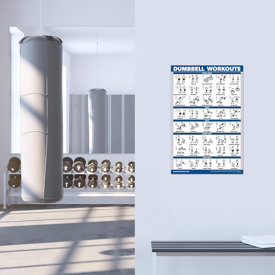 Palace Learning 4 Pack Workout Charts - Dumbbell, Bodyweight, Stretching, Kettlebell Exercises