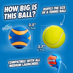 Chuckit! Ultra Squeaker Balls for Dogs, Floating Water Pet Toys, Durable Rubber Pet Toy, Bouncy Squeaky Fetch Balls For Dogs, Pack of 2, Medium (2.5")