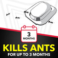 Raid Ant Killer Baits, Child Resistant Bug Killer for Indoor Home Use, 0.24 Oz, 8 Count