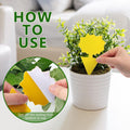 Landisun Fruit Fly Traps 48PCS Fungus Gnat-Traps for Indoor-Outdoor Yellow Fruit-Fly Sticky-Trap Plants Flying Bug Insects Traps